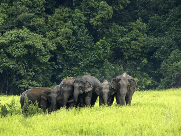 Popular Day Trips from Bangkok