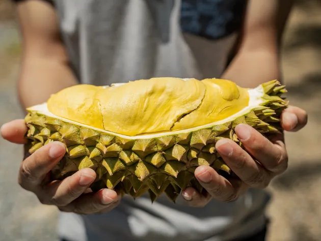 Thai Durian Guide: Where to eat and where to buy