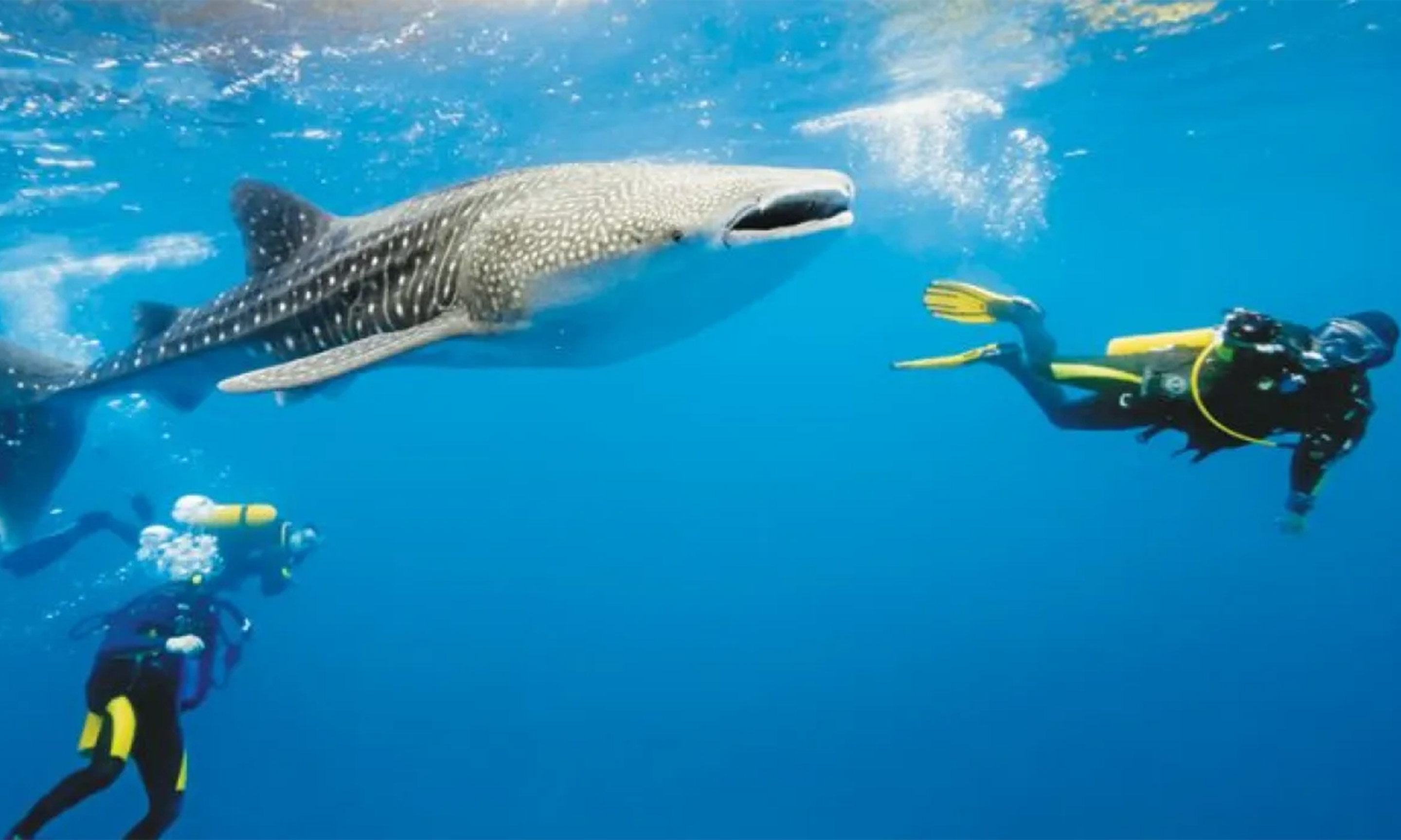 diving
