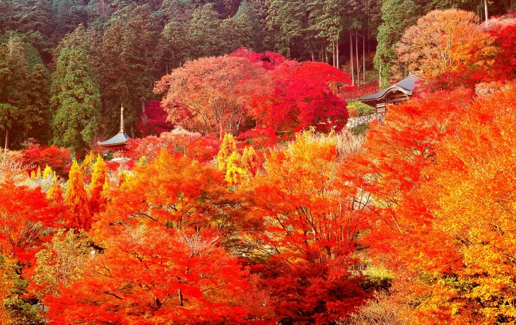 Katsuoji