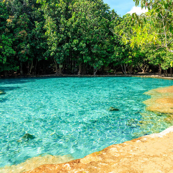 Visit Krabi’s Emerald Pool and hot springs