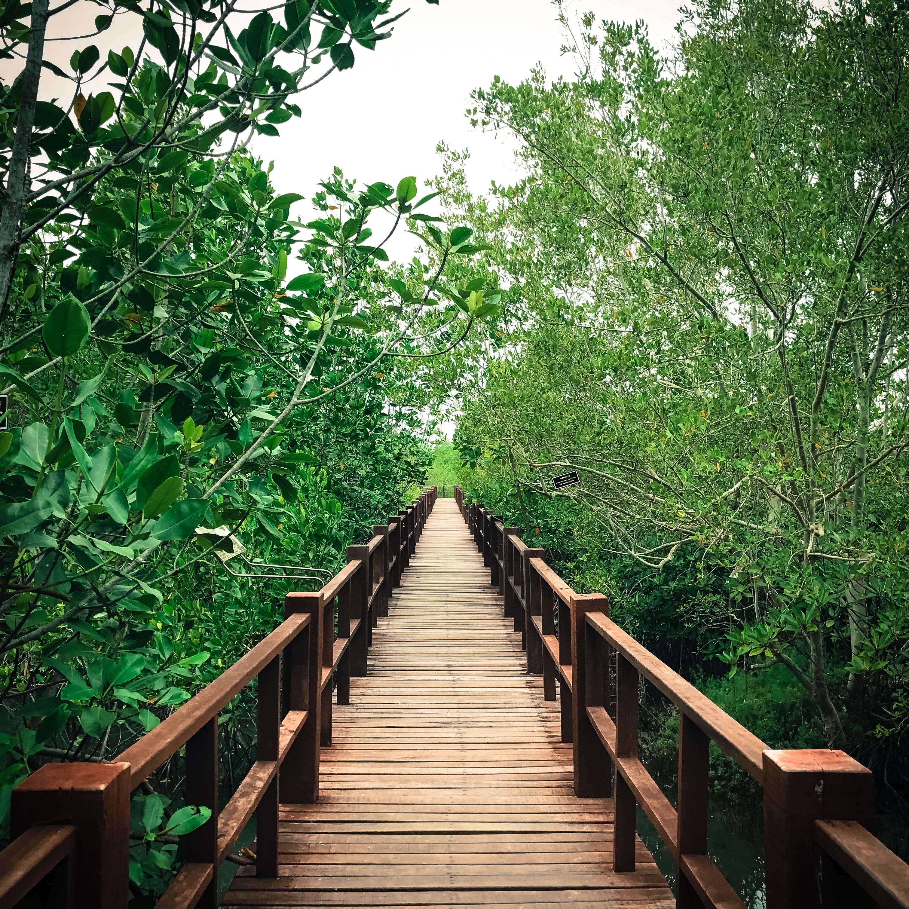 Sirindhorn International Environmental Park
