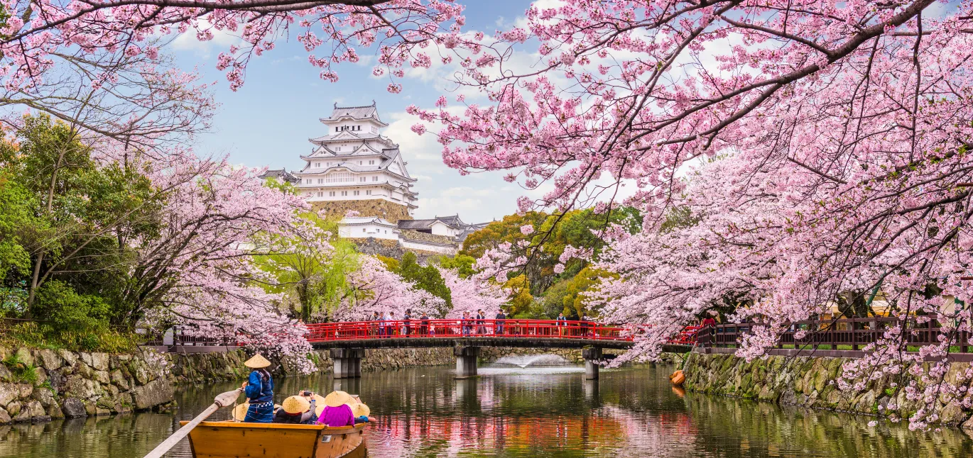 Japan Destination