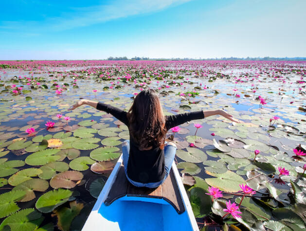 Red Lotus Lake