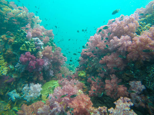 Most amazing islands off the coast of Hat Yai 