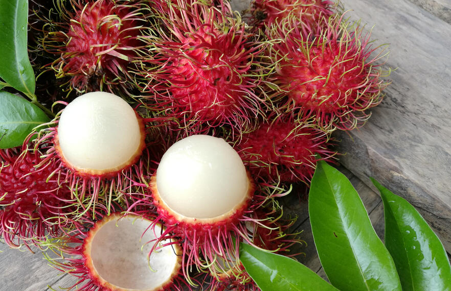 5 Delicious Fruits That Make Thai Cuisine Special