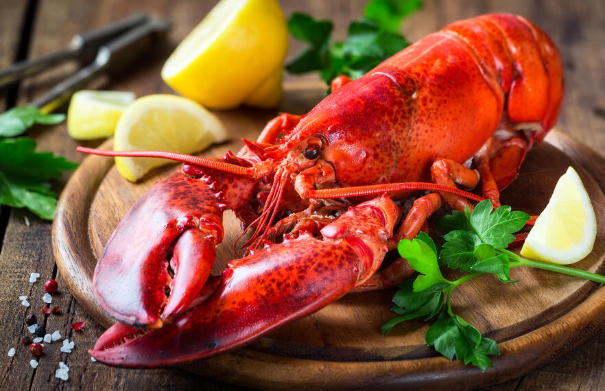 A guide to the best restaurants for lobster in Phuket