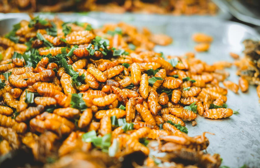 Insects: A Strange (But Rewarding) Culinary Delicacy