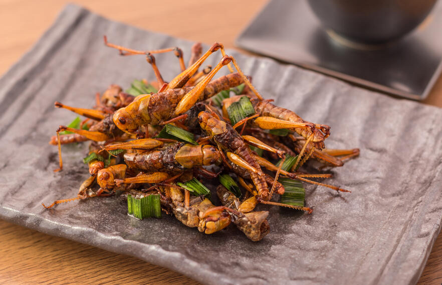 Insects: A Strange (But Rewarding) Culinary Delicacy