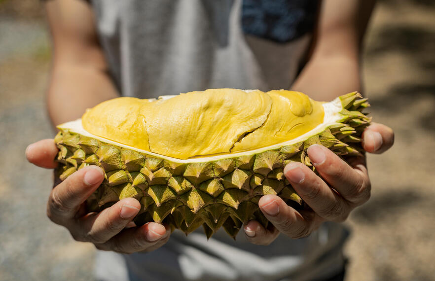Thai Durian Guide: Where to eat and where to buy