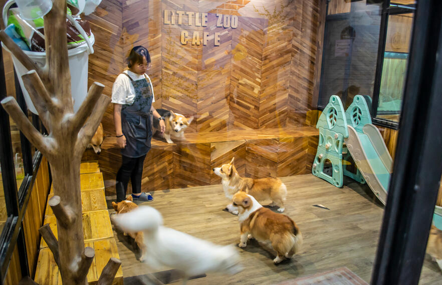 The most fun family-friendly cafes in Bangkok