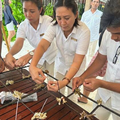 Coral Reef Restoration